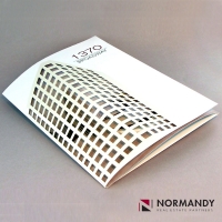 Detailed-die-cut-presentation-brochure.jpg